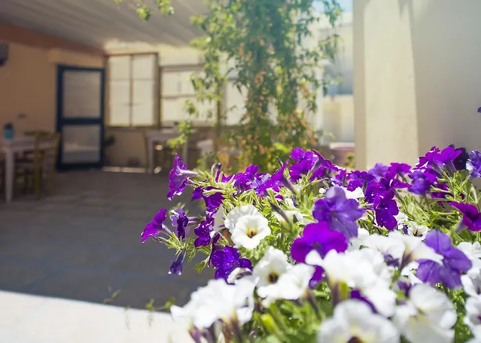 ベッド・アンド・ブレックファスト Notos